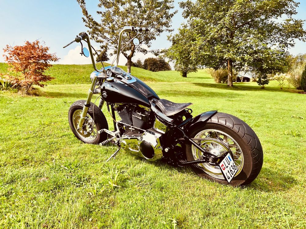 Softail deals custom bobber