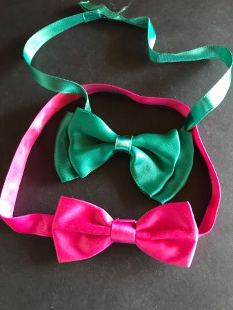 Fliege Schlips Masche Schleife Krawatte pink und mint 2 Stk