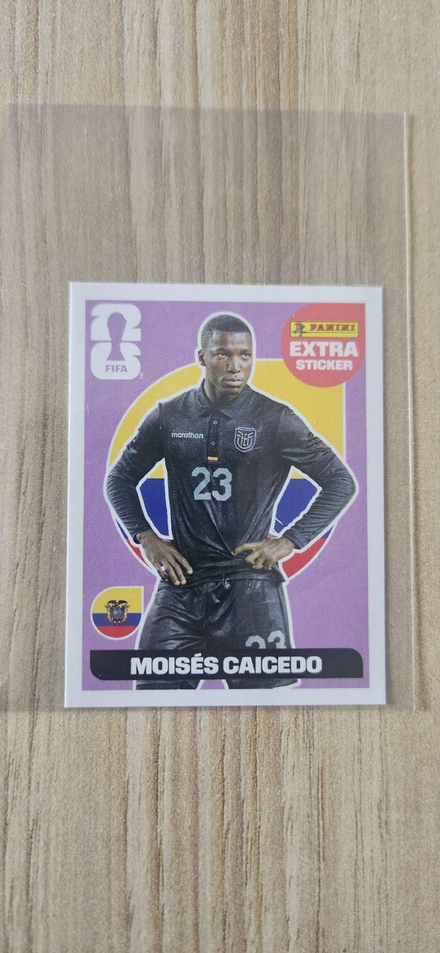 Panini Carte collezionabili: Panini FIFA Sticker Extra Sticker – Nuovo (secondo la descrizione) da Dulliken venduto da senci10 6