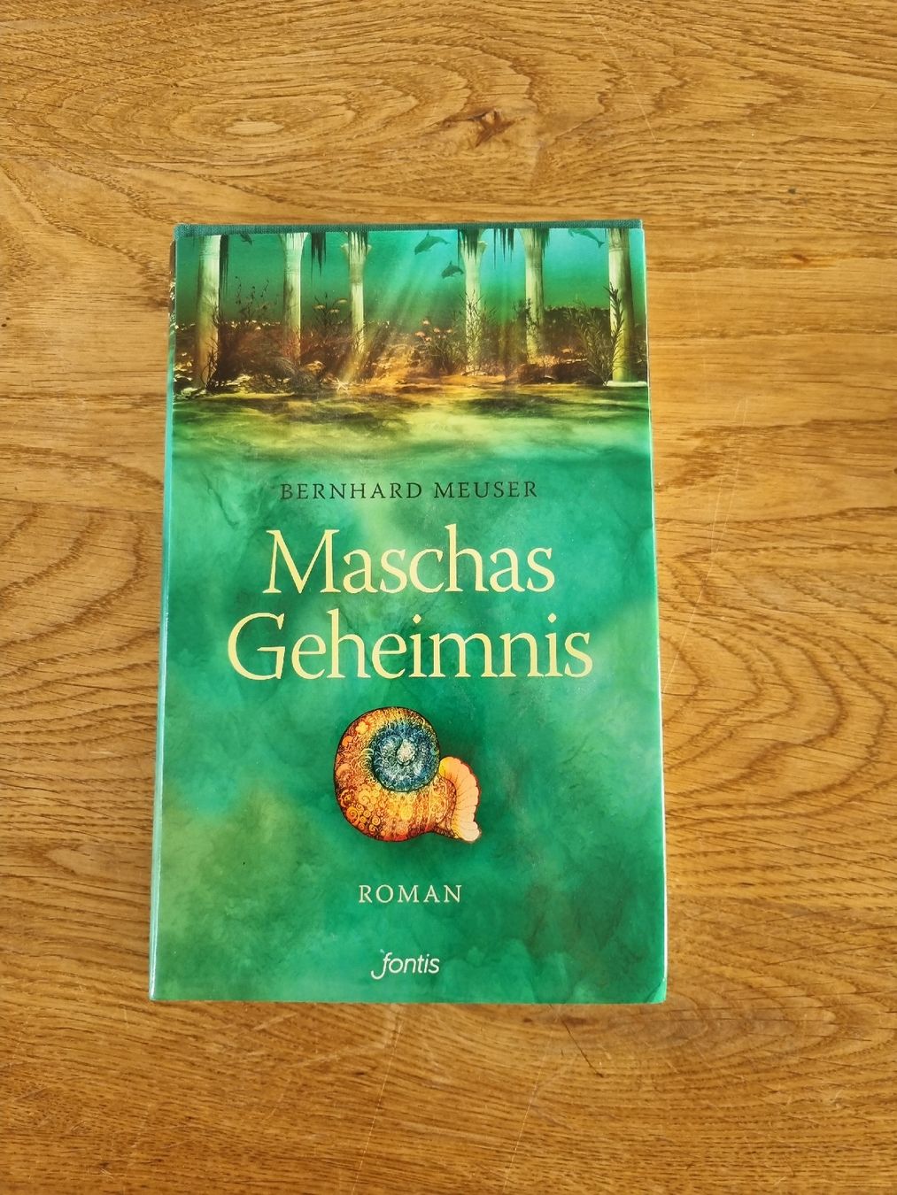Libri: Bernhard Meuser: Maschas Geheimnis – Usato da Illighausen venduto da Flomi50