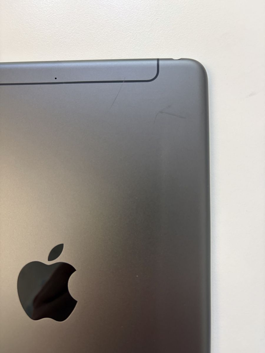 Apple Tablet PC: iPad Mini 5 256GB WiFi & Cellular Space Grey – Usato da Zürich venduto da dan_dy2z 2