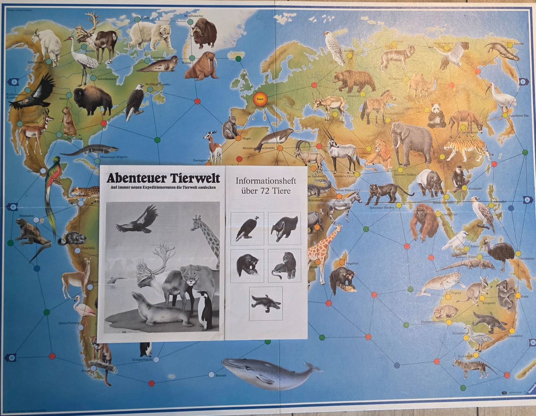 Jeux: Abenteuer Tierwelt – D'occasion à Altendorf par keskomat 1