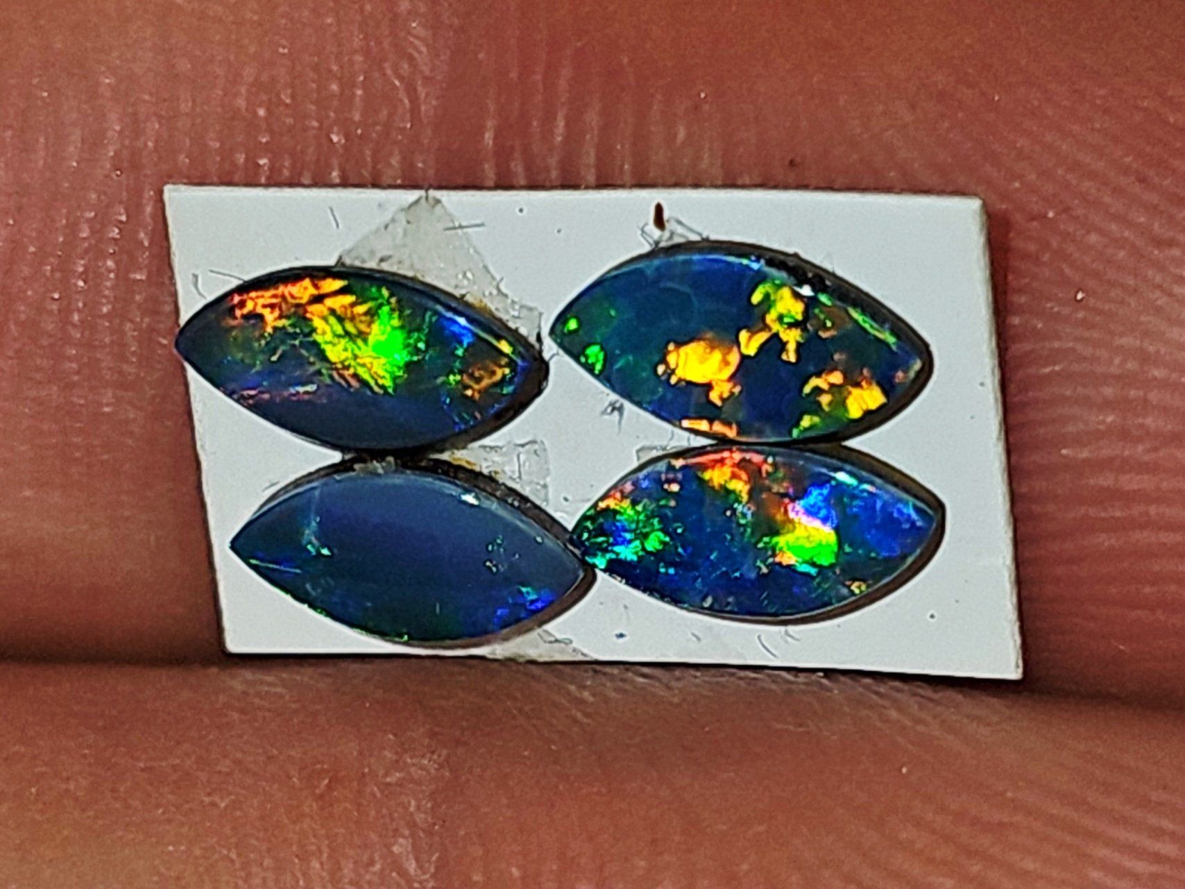Pietre preziose: 4 Australische Opal Dubletten – Nuovo e nell'imballaggio originale da Uerkheim venduto da Winwinner 2
