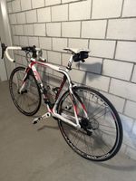 Pinarello FP 3 ( Carbon)