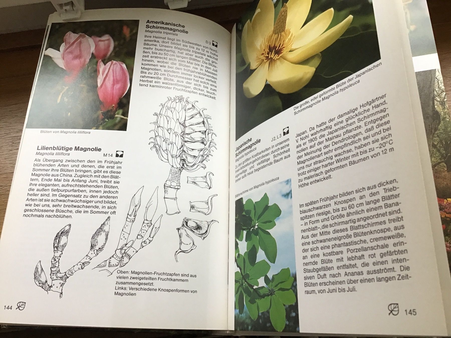 Libri: Pflanzenschutzes der Mainau – Usato da Bischofszell venduto da Emida 3