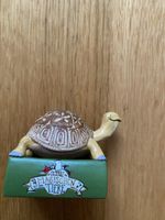 Tonie Schule der magischen Tiere