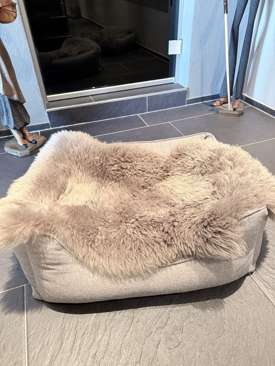 Niches, paniers: Hundebett – Neuf (Voir description) à Wermatswil par FEDN 3
