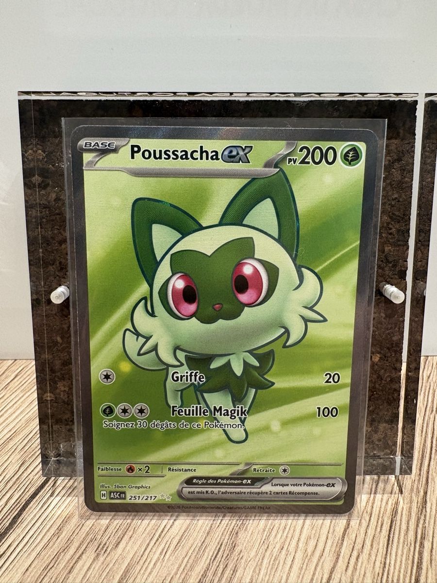 Pokémon Carte collezionabili: Carte Pokémon/ Poussacha EX #251 – Nuovo (secondo la descrizione) da Orsières venduto da Arnodrg