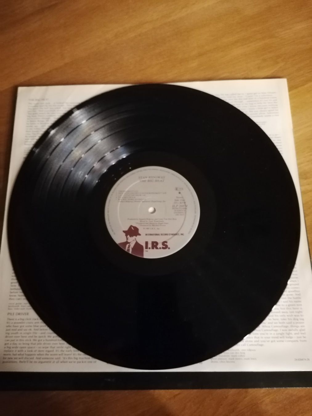 Dischi in vinile: Stan Ridgway LP – Usato da Geroldswil venduto da Dirici 2