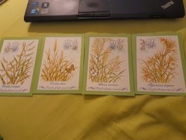 4 cartes botaniques rares - Bophuthatswana - Afrique 48