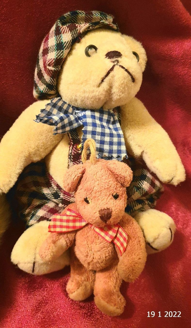 Giocattoli: 4 Sammel Teddy's – Usato da Basel venduto da The_Onliners 2