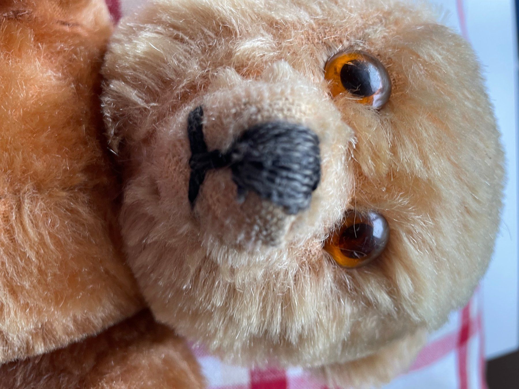 Giocattoli: Sehr gut erhaltener Teddybär mit drehbarem Kopf – Usato da Hausen am Albis venduto da Werk3 7
