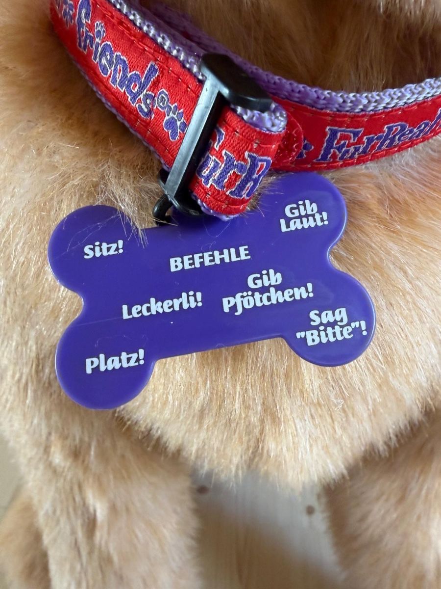 FurReal Giocattoli: FurReal Friends Hund Biscuit – Usato da Beinwil (Freiamt) venduto da Zpower 3