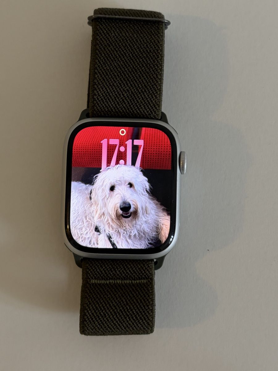 Apple Smartwatch: Apple Watch Series 8 GPS – Usato da Wald ZH venduto da evhu 1
