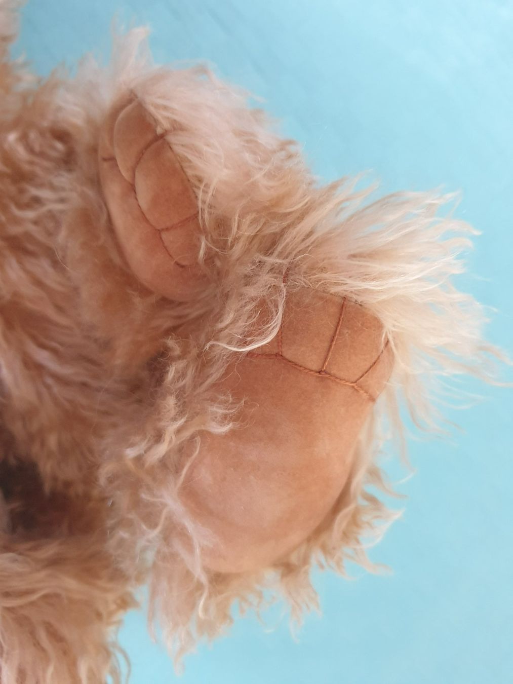 Giocattoli: Teddybär Teddy Helena Oberholzer Simone – Usato da Mörschwil venduto da spirspi 2