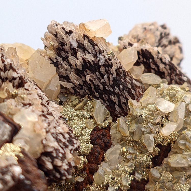 Golden PYRIT an SIDERIT, BARIT, GOETHIT mit CALCIT & DOLOMIT | Kaufen ...
