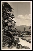 AK Ascona, Seepromenade mit Opuntien und Kirchturm