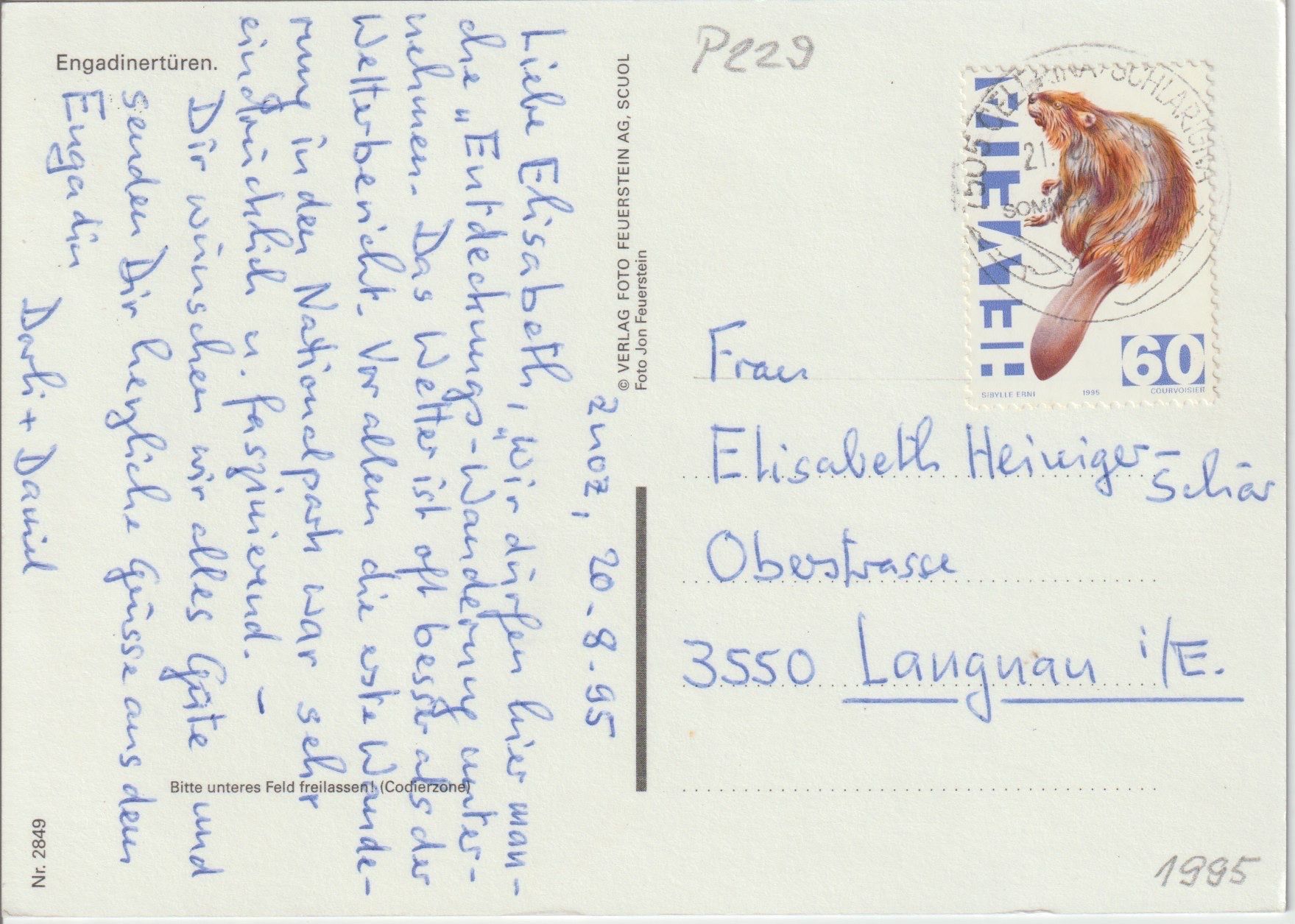 Cartoline postali: P 229 Engadiner-Türen, 1995 – Usato da Freienbach venduto da Bhaltis 1