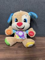 Fisher-Price Lernspass Hündchen, Top Zustand