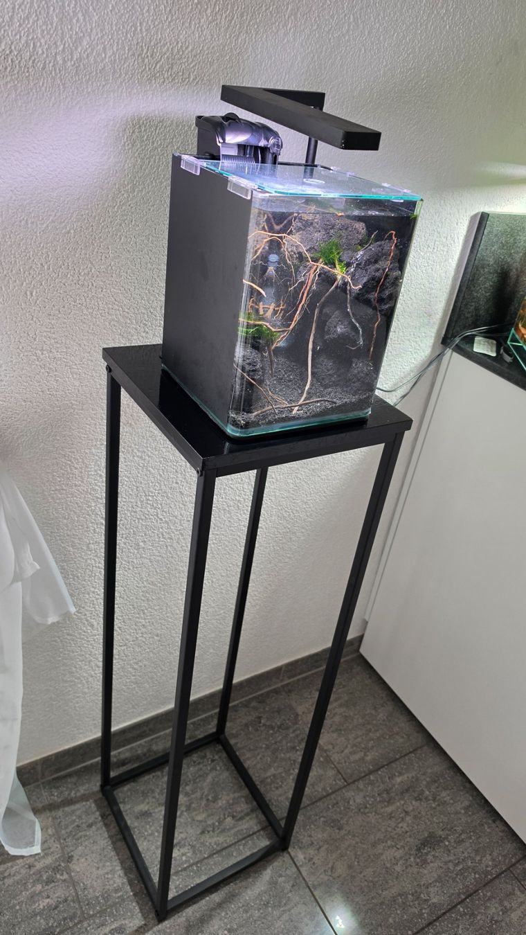 Acquari: Nano Aquarium Schlucht imitation – Usato da Obergerlafingen venduto da Deluxepoint 5