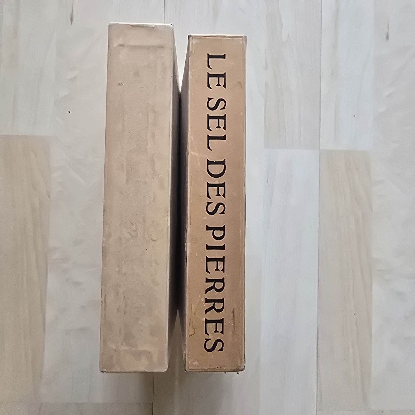 Bücher: livre le sel des pierres – Gebraucht aus Martigny von pivert03