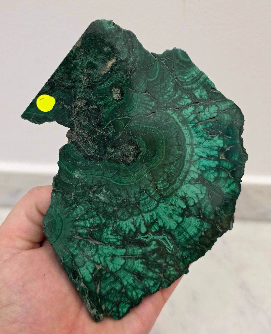 Minerali & Pietre curative: Malachit Scheibe G 251g – Nuovo e nell'imballaggio originale da Matzingen venduto da Shay_Crystalz 1