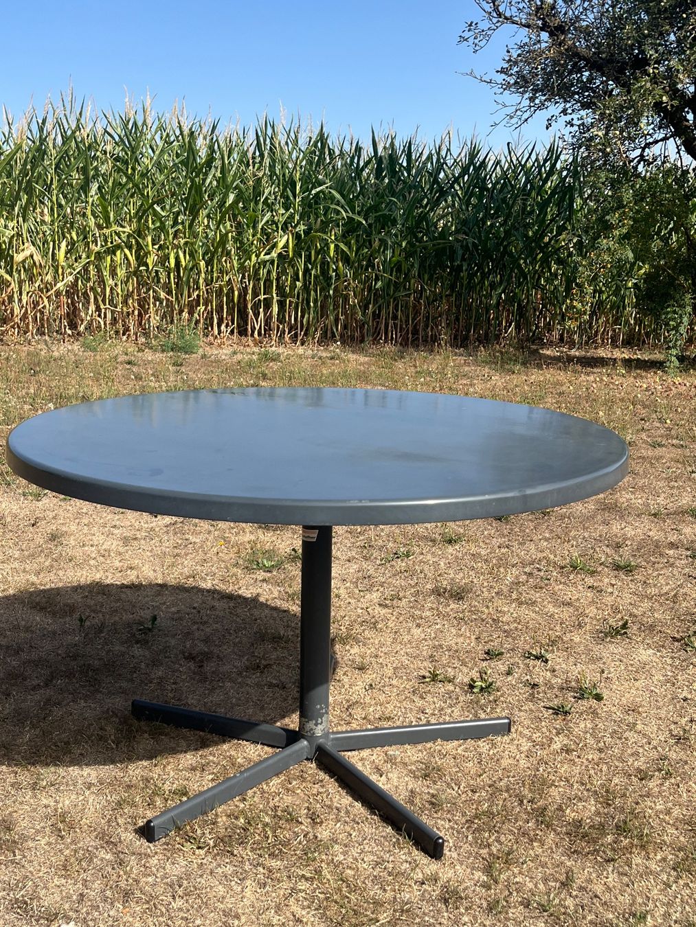 Schaffner Tavoli: Gartentisch Klappbar Schaffner – Usato da Allmendingen b. BE venduto da juair