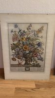 Robert Furber Blumenbild Twelve Months of Flowers gerahmt