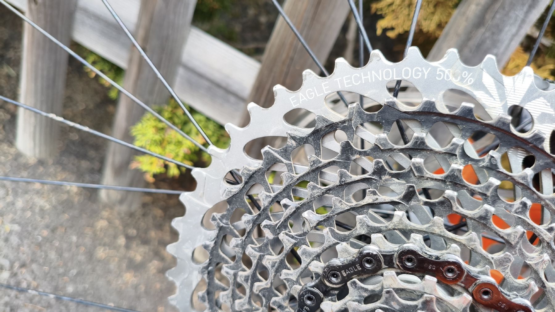 Scott Biciclette: Scott ransom tuned carbon – Usato da Verbier venduto da Bayomateo 3