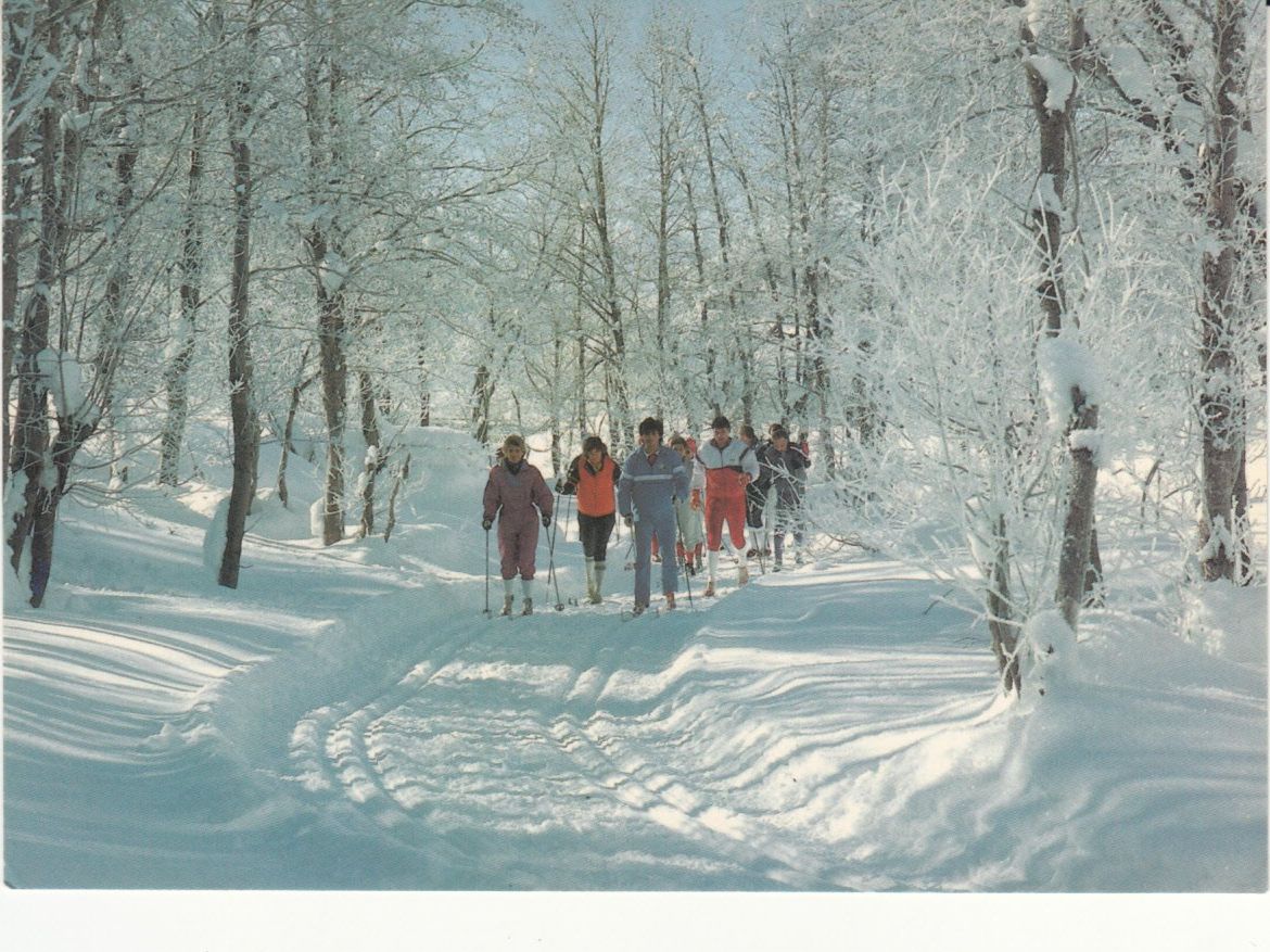 Cartoline postali: Goms Langlauf 1995 – Usato da Bürglen TG venduto da StampGraf