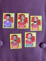 Panini Marocco 2026