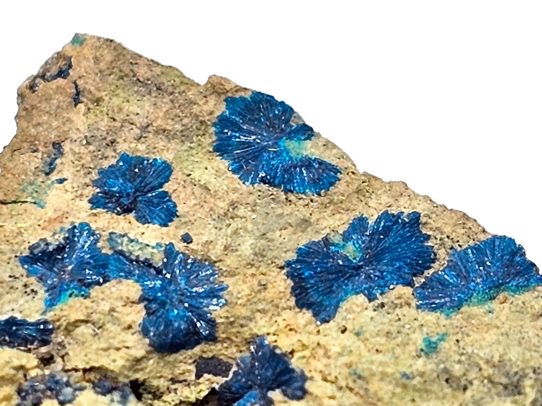 Mineralien & Heilsteine: RaRe Cornetite - Congo – Gebraucht aus Figino von minshop 1
