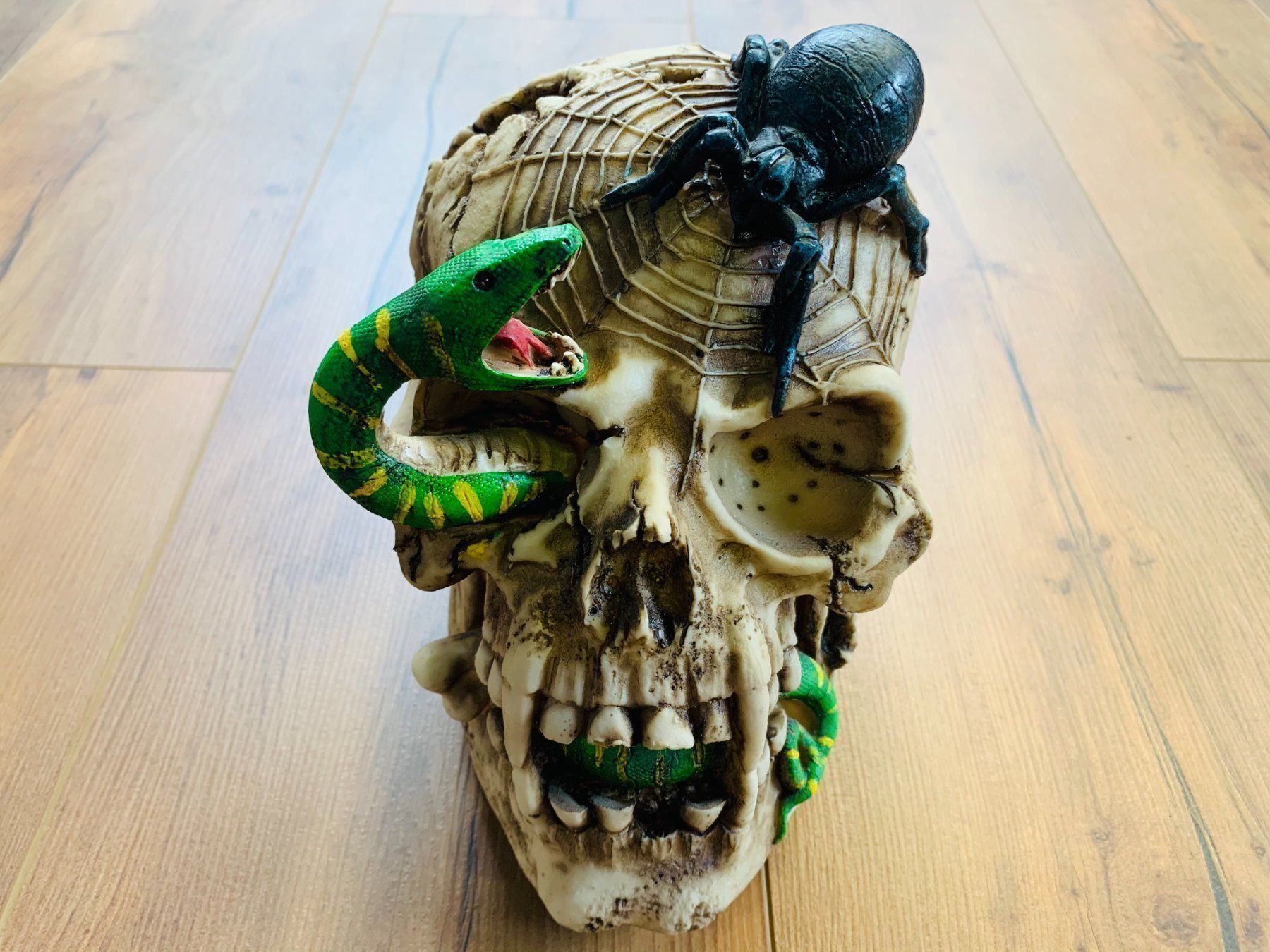 Sculture & Statue: Totenschädel Schädel SKULL Spinne 22cm NEU – Nuovo e nell'imballaggio originale da Bergdietikon venduto da shopAgent 1