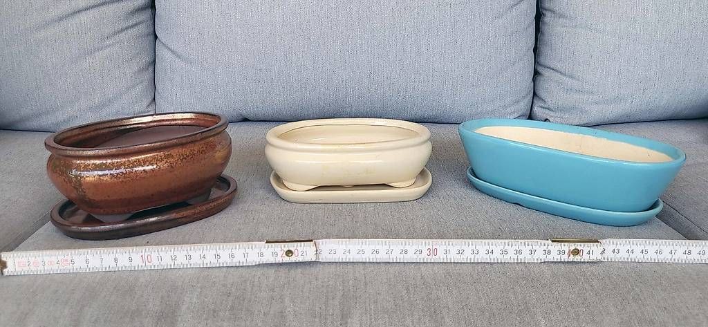 Piante & sementi: 12 Bonsai-Töpfe – Usato da Lugano venduto da Mavvatteloapesca 2
