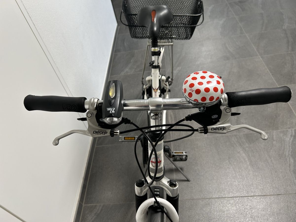 Cilo Biciclette: Damenvelo – Usato da Heiligkreuz (Mels) venduto da Maedems5 4
