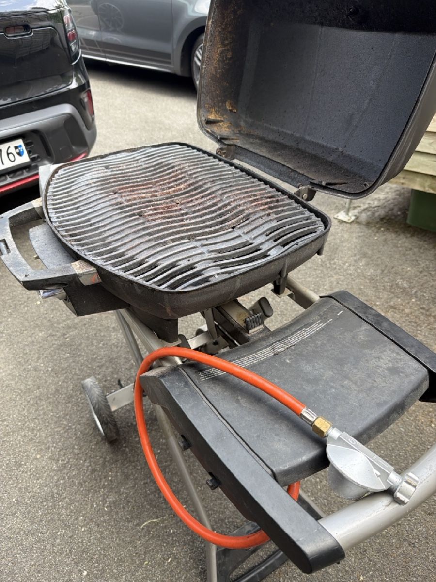 Griglie: Napoleon Grill – Usato da Rothrist venduto da Jacktk 2