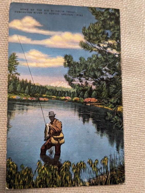 Postkarte USA 1940 Fischer Rainbow Trout Deschutes Oregon | Kaufen auf ...