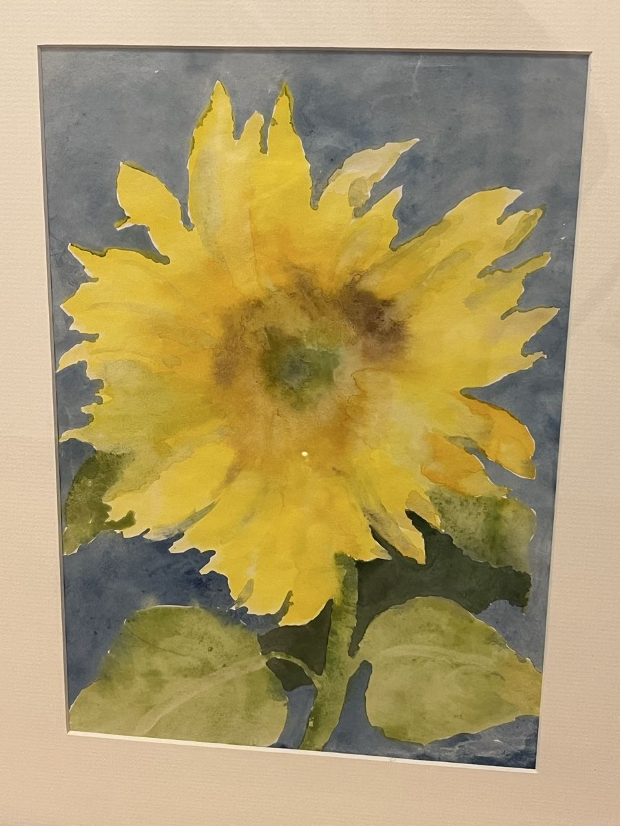 Dipinti: 3er Set Aquarell Blumenbilder, gerahmt – Usato da Rüti ZH venduto da Walti0 2