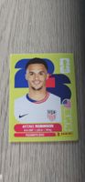 Fifa World Cup Panini USA 7