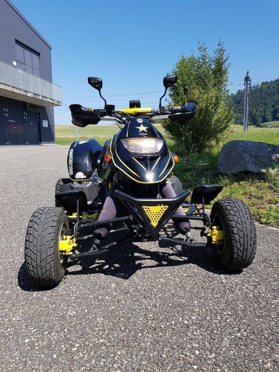 Bombardier DS 650 Kaufen auf Ricardo