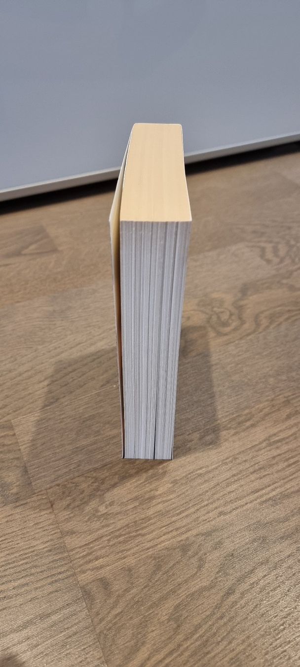 Libri: Die Sturmkönige - Kai Meyer – Usato da Hinterforst venduto da impatiently 3
