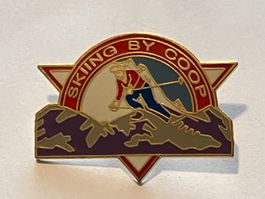 1 Pin Skiing by Coop
