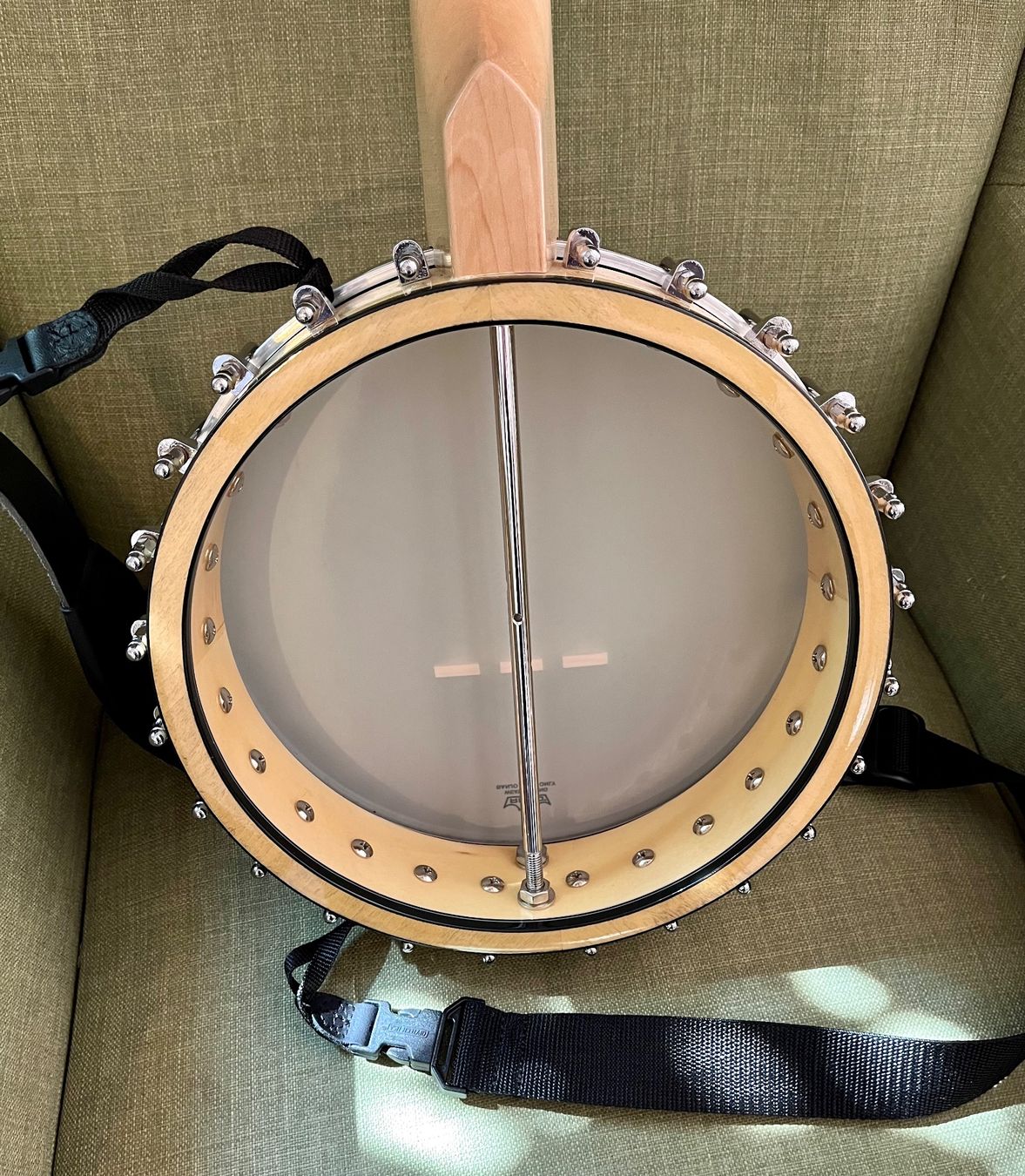 Strumenti musicali: Gold Tone MN-150 LN – Usato da Winterthur venduto da iri_9qr6 4