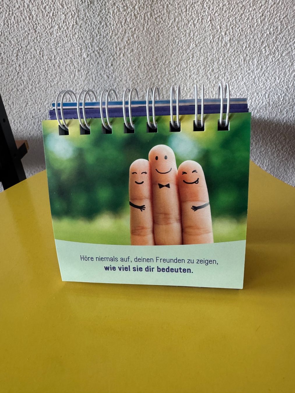 Calendari: Kalender Buch Schutzengel Geschenk – Usato da Steffisburg venduto da smocky17 4