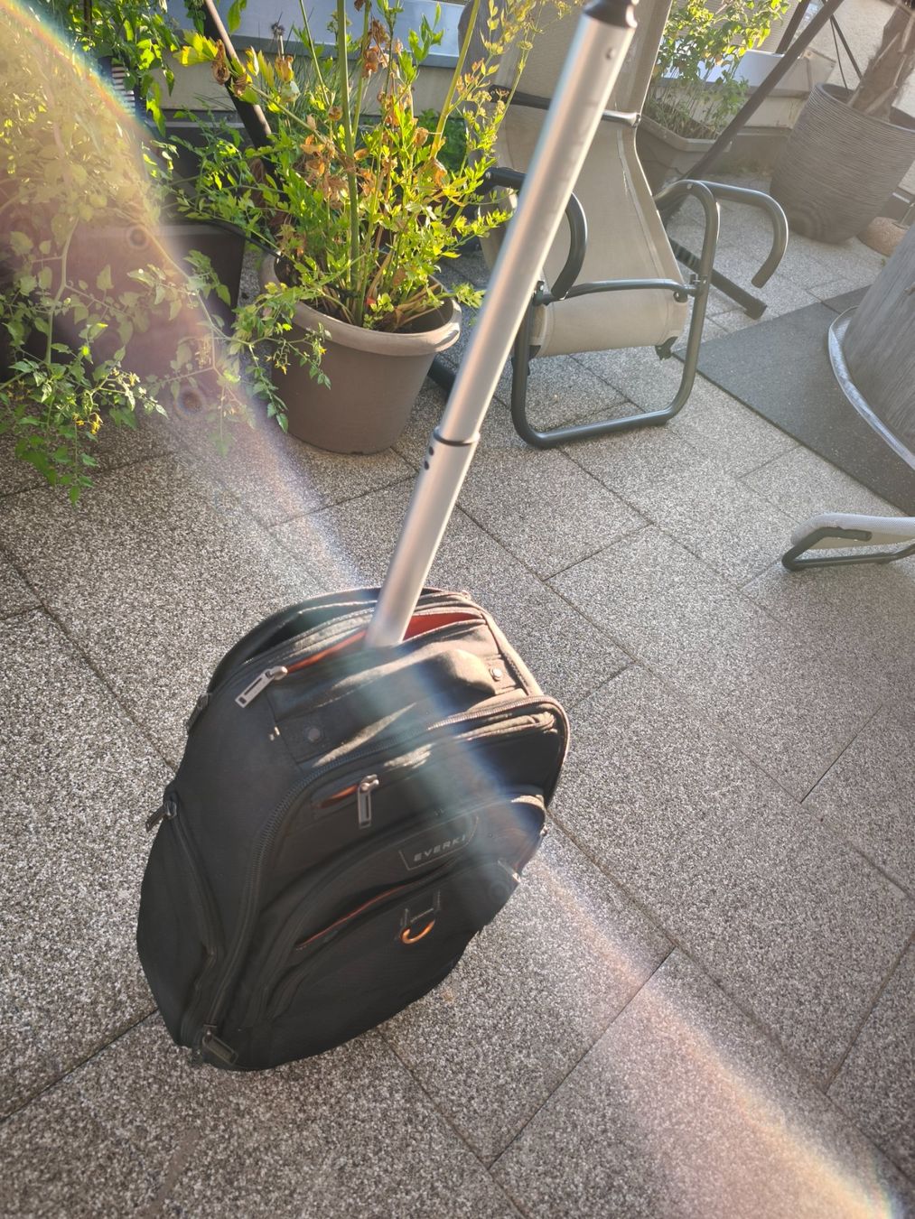 Valigie & Borse: Everki Trolley / Rucksack – Usato da Oberengstringen venduto da NKlinger 1