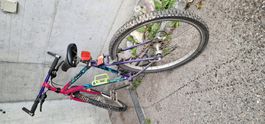 Velo