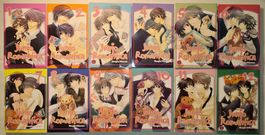 Junjo Romantica 1 bis 23 (ohne Band 21) Deutsch Manga