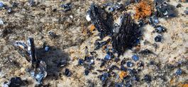 Mineralien: Hämatit (Eisenrosen) mit  Turmalin und Monazit.
