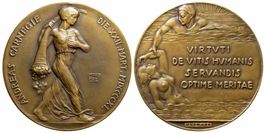 Bronzemedaille 1911, Carnegie Foundation