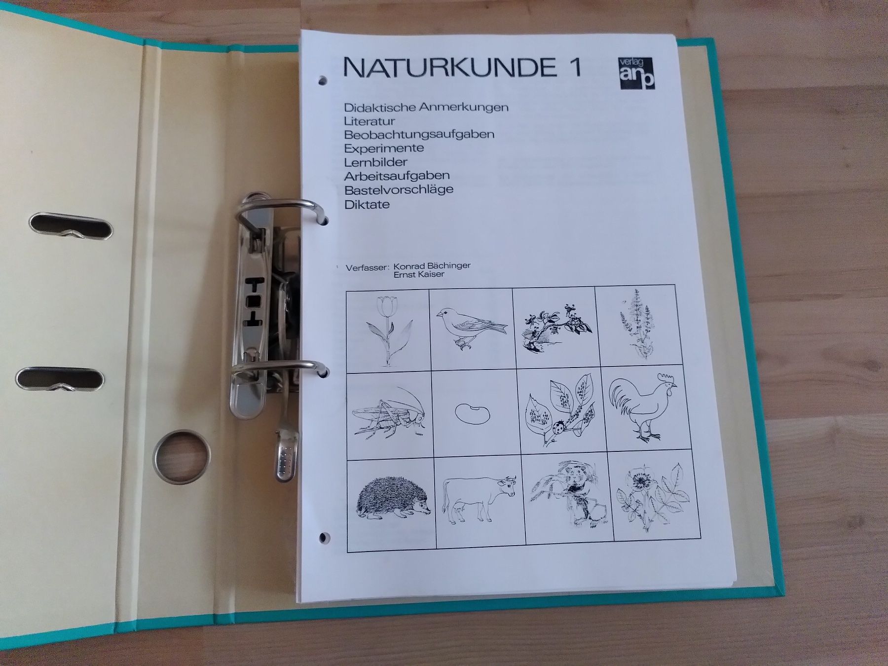 Libri: NATURKUNDE 1/ ORDNER MIT ARBEITSBLÄTTER – Usato da Brugg AG venduto da olamim